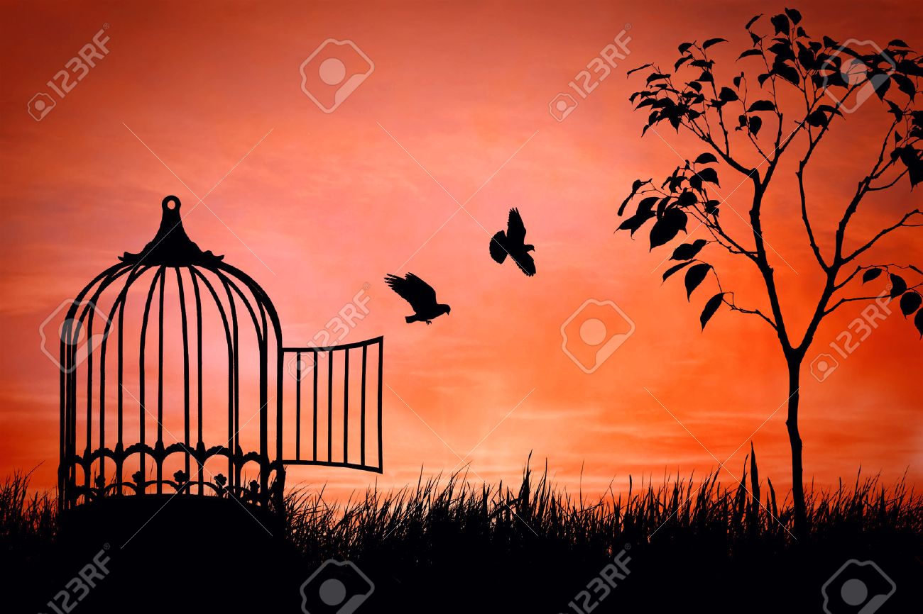 鳥のカップルがケージからの脱出します 自由の概念 自然にリリース の写真素材 画像素材 Image