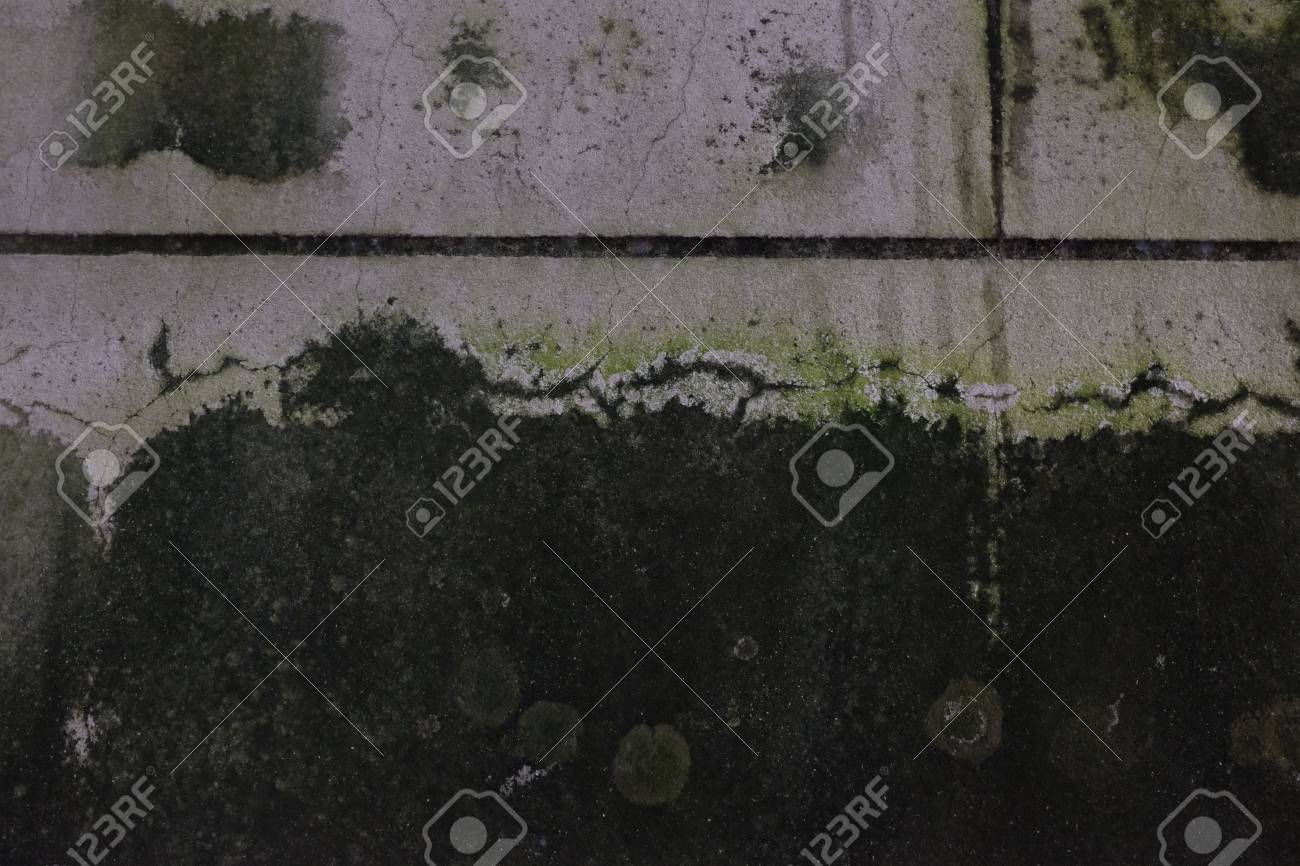 Sucio Unico Pared Textura Arte Abstracto Fondo Grunge Macro Foto