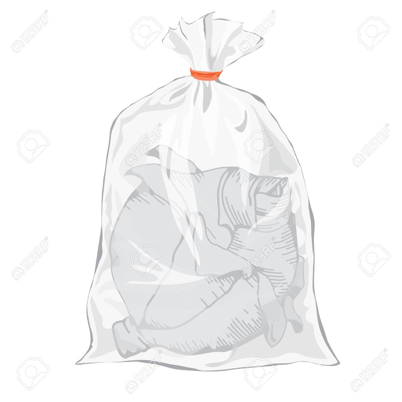 Download Cabbage Hand Drawing Design Elements Plastic Packaging For Royalty Free Cliparts Vectors And Stock Illustration Image 40210879