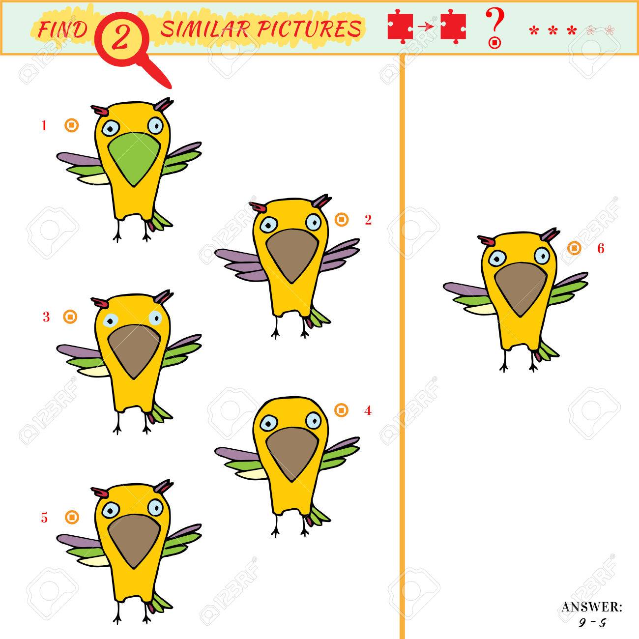 rompecabezas de aves