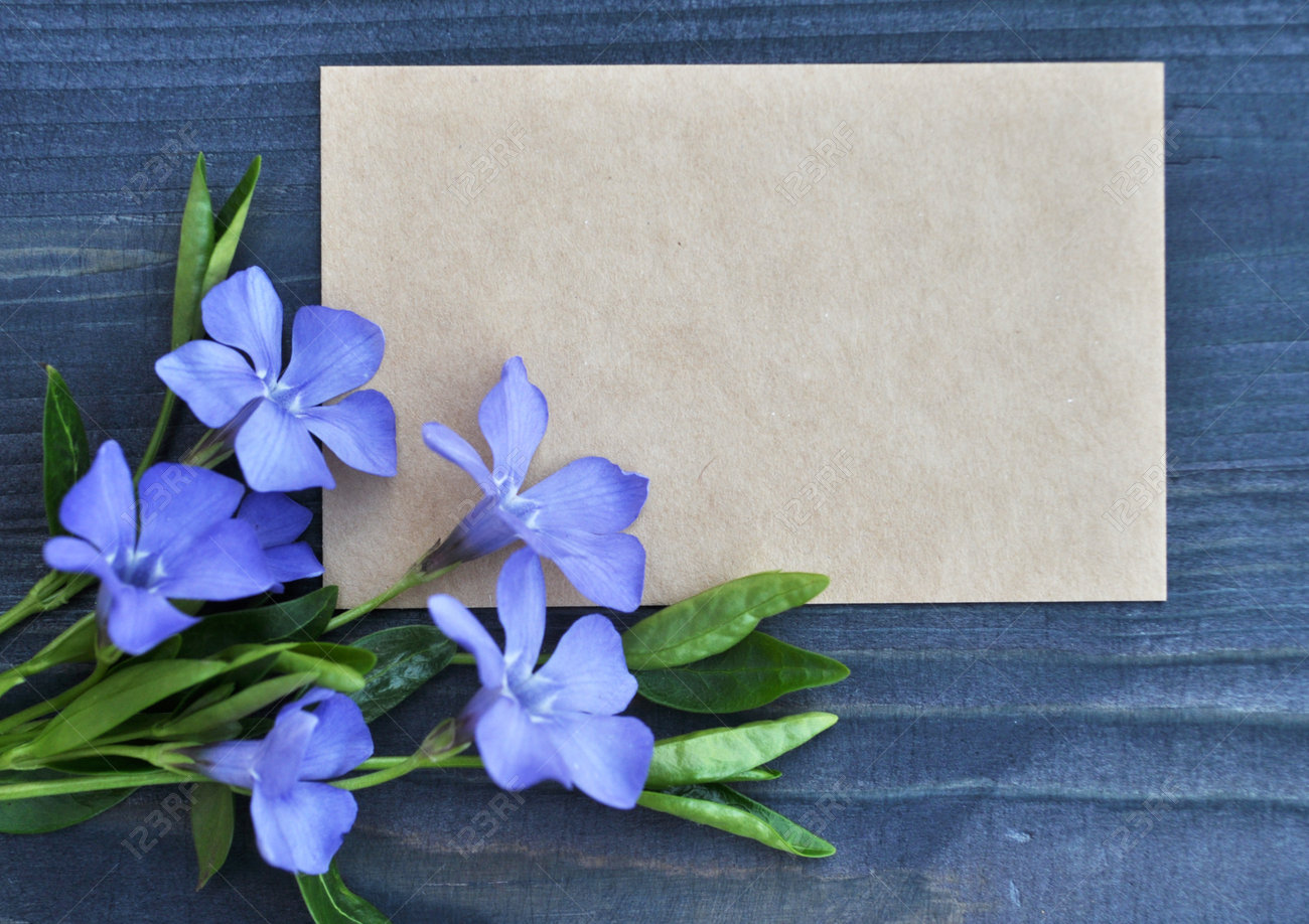 Empty Paper List And Bouquet Of Blue Flowers On Wood Background Stock Photo Picture And Royalty Free Image Image 96775798