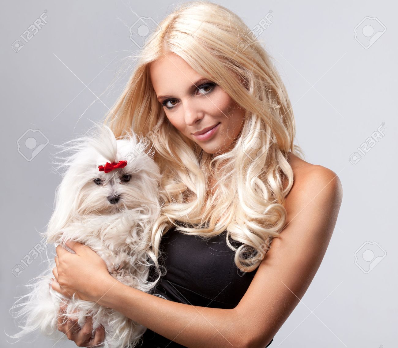 long blonde haired dog