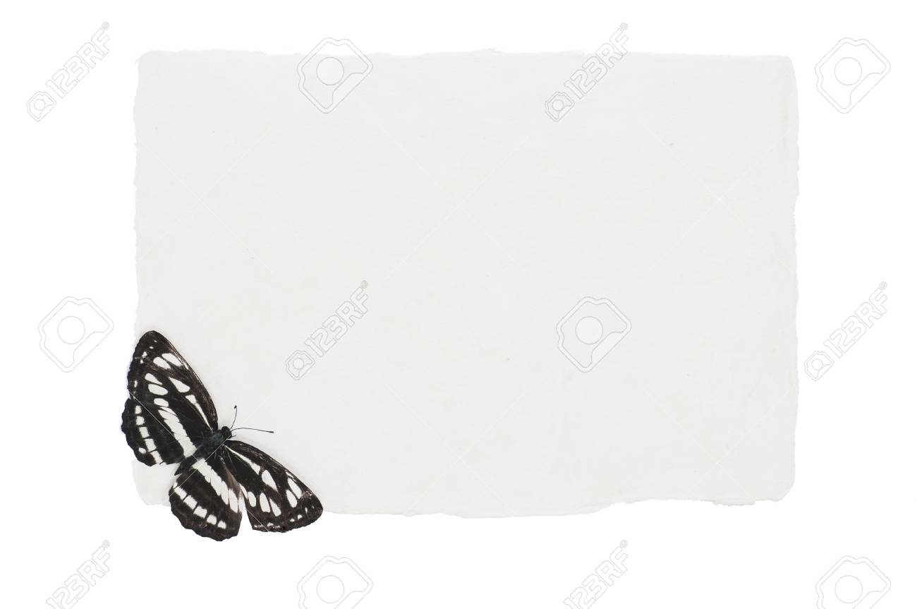 white card and butterfly template stock photo picture and royalty buterfly template