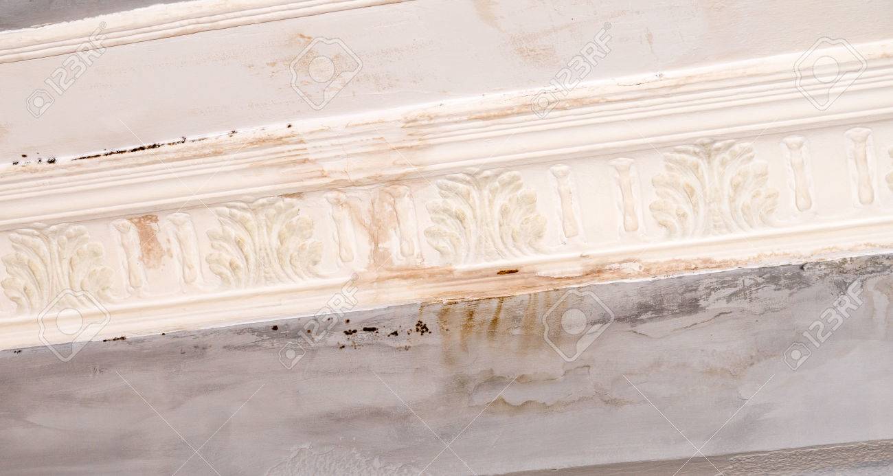 Wall Paint That Peels Off And Fades Off Due To Moisture Problems