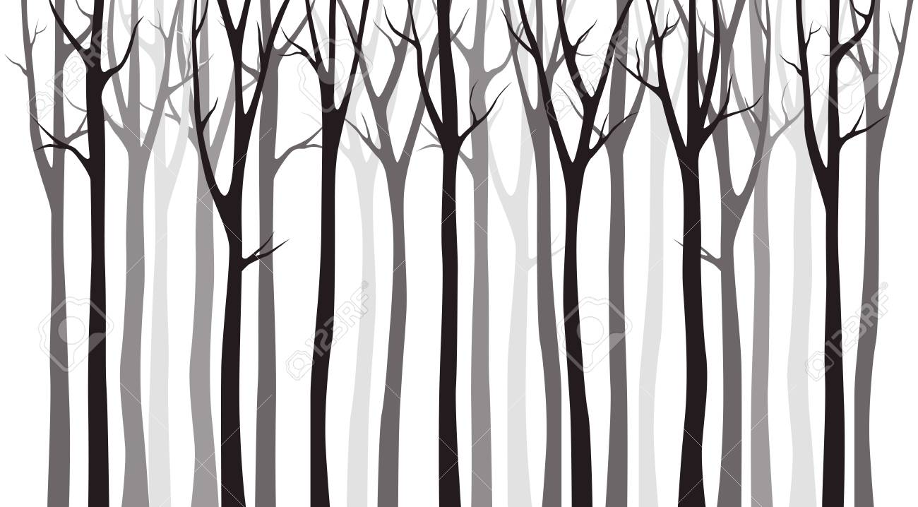 Birch tree wood silhouette on white background - 118967902 Birch tree wood silhouette on white background - 118967902
