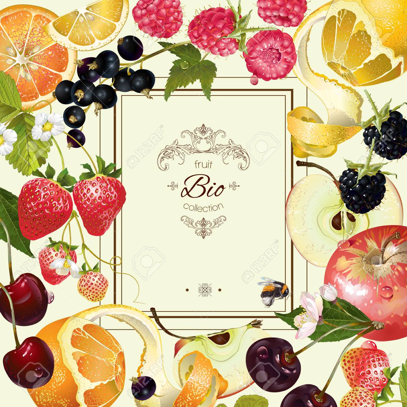 vintage fruit and berry frame. Design for vegeterian menu, tea, ice cream, juice, jam, natural cosmetics, candy and bakery with fruit filling, health care products. With place or text - 60555279 vintage fruit and berry frame. Design for vegeterian menu, tea, ice cream, juice, jam, natural cosmetics, candy and bakery with fruit filling, health care products. With place or text - 60555279