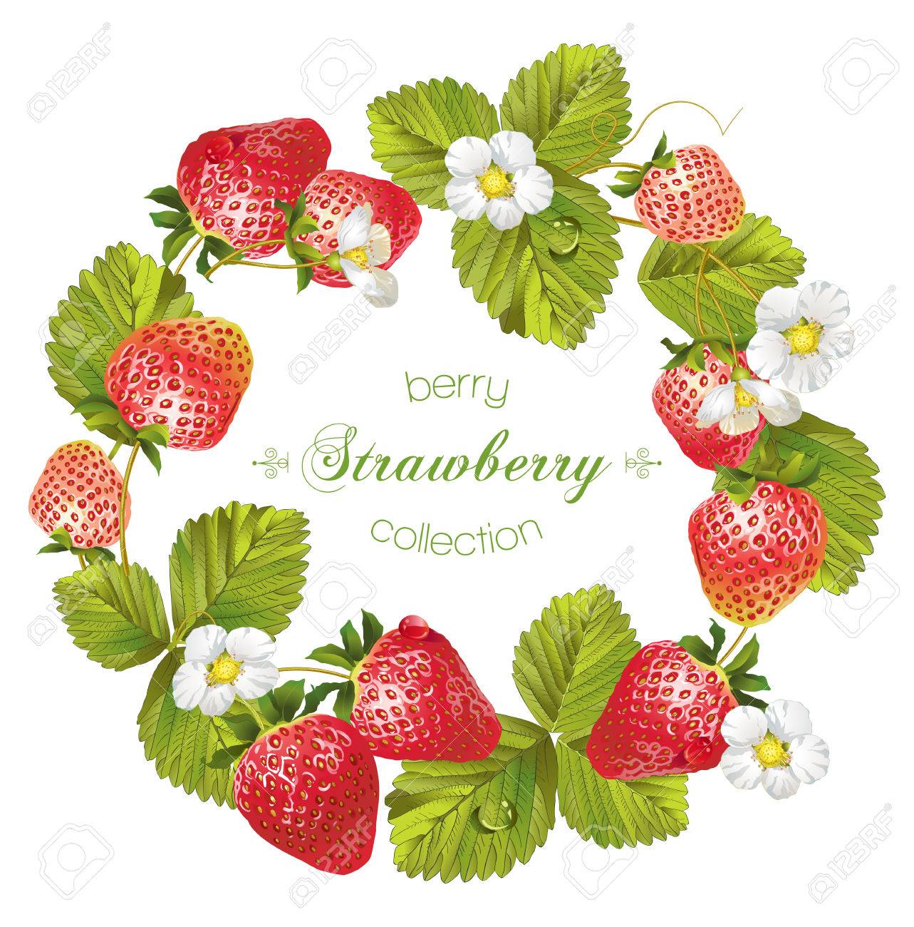 Vector strawberry round frame. Design for tea, natural cosmetics, beauty store, pastry filled with strawberry,dessert menu, organic health care products, perfume, aromatherapy. With place for text - 66322660 Vector strawberry round frame. Design for tea, natural cosmetics, beauty store, pastry filled with strawberry,dessert menu, organic health care products, perfume, aromatherapy. With place for text - 66322660
