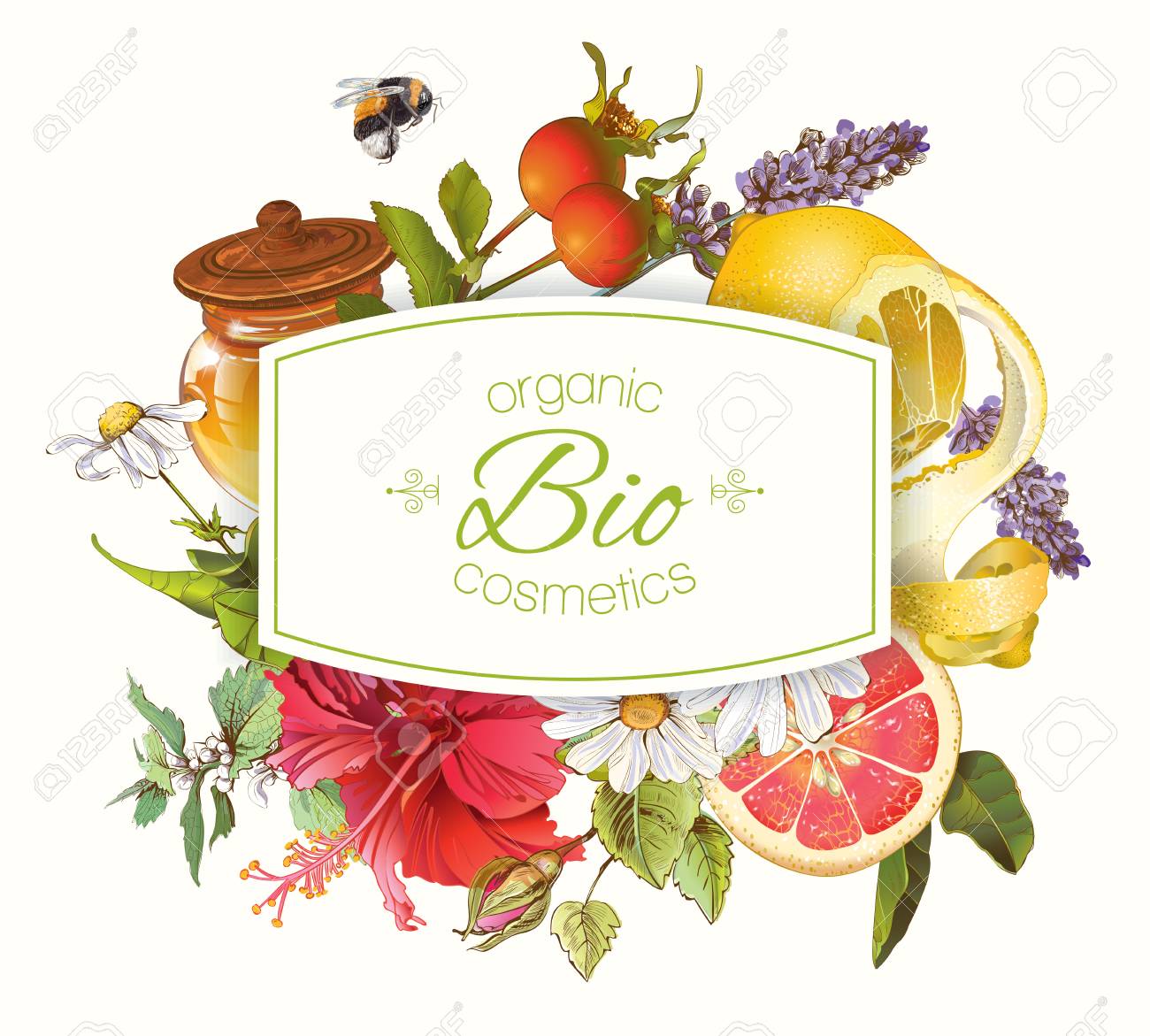 オーガニック化粧品バナーのイラスト素材 ベクタ Image