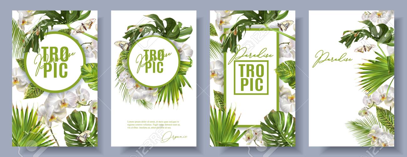 Vector botanical vertical banners set with tropical leaves, orchid flowers and butterflies on white. Design for cosmetics, spa, health care products, travel company. Can be used as summer background - 95177420 Vector botanical vertical banners set with tropical leaves, orchid flowers and butterflies on white. Design for cosmetics, spa, health care products, travel company. Can be used as summer background - 95177420