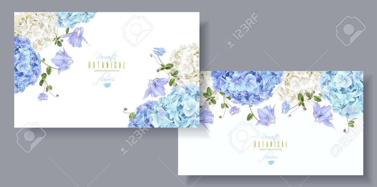 Hydrangea flowers horizontal banners blue - 95655496 Hydrangea flowers horizontal banners blue - 95655496