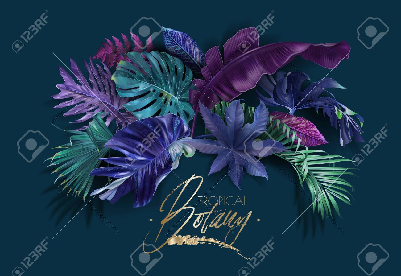 Vector frame banner with color tropical leaves - 137180854 Vector frame banner with color tropical leaves - 137180854