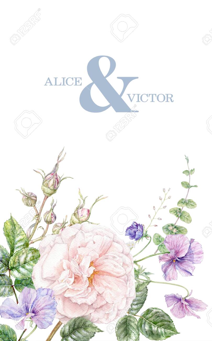 Watercolor wedding invitation with pink rose and violet flowers card isolated on white background. Botanical border for natural cosmetics, women products packaging, summer background, greeting design - 134975321 Watercolor wedding invitation with pink rose and violet flowers card isolated on white background. Botanical border for natural cosmetics, women products packaging, summer background, greeting design - 134975321
