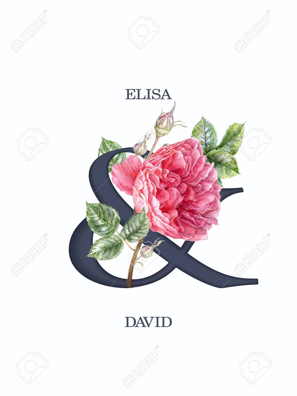 Watercolor pink rose flower wedding invitation card - 137489806 Watercolor pink rose flower wedding invitation card - 137489806