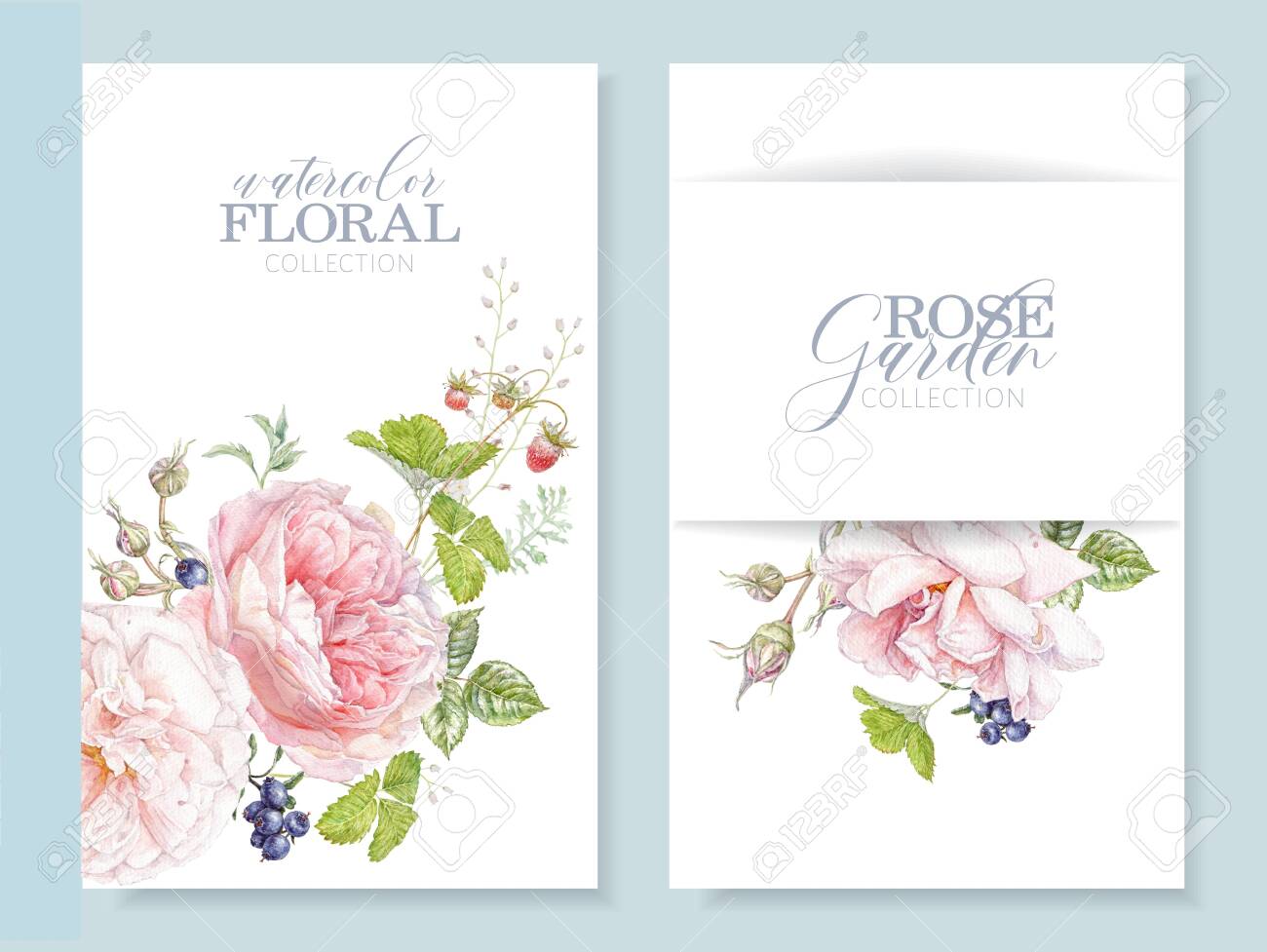 Watercolor cards with pink rose and berries - 141861032 Watercolor cards with pink rose and berries - 141861032
