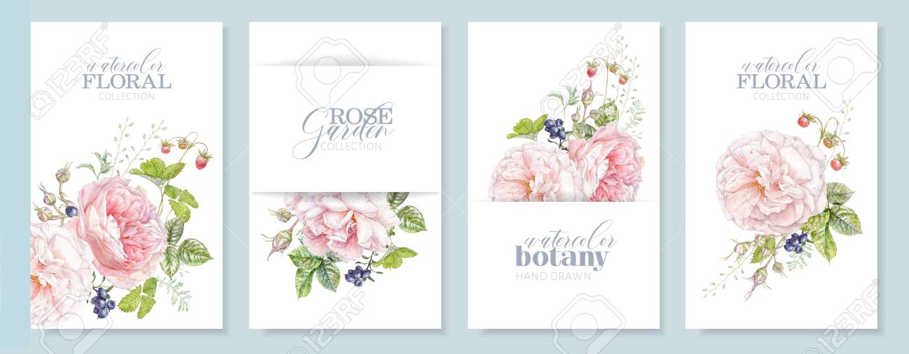 Watercolor hand drawn banners with pink rose, berries and leaves isolated on white background. Botanical arrangement for natural cosmetics, women products, summer background, greeting design - 147095630 Watercolor hand drawn banners with pink rose, berries and leaves isolated on white background. Botanical arrangement for natural cosmetics, women products, summer background, greeting design - 147095630