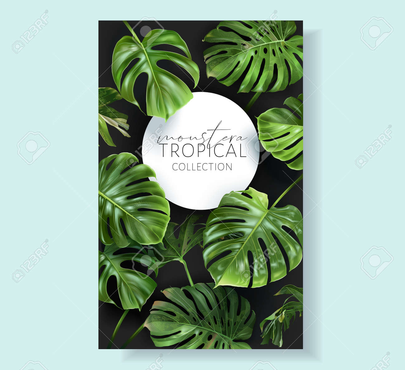 Vector monstera frame with green tropical leaves - 153377129 Vector monstera frame with green tropical leaves - 153377129