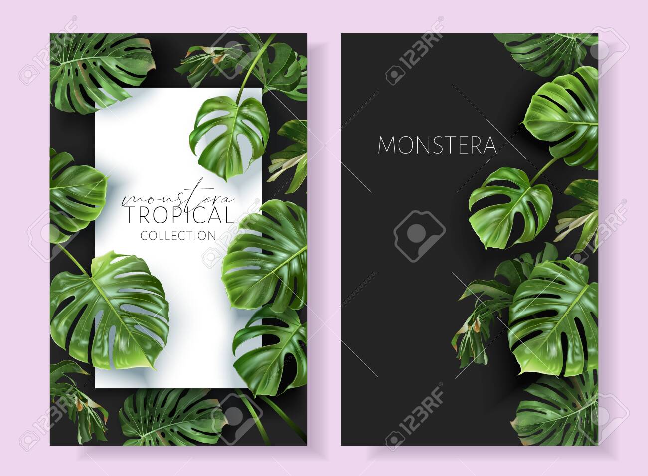 Vector monstera frames with green tropical leaves - 154013020 Vector monstera frames with green tropical leaves - 154013020