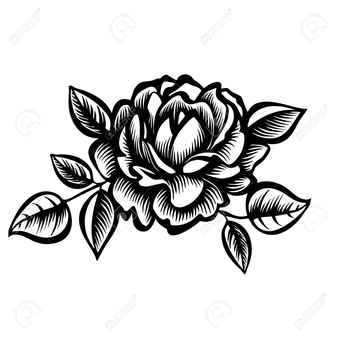 Black And White Rose Flower. Royalty Free SVG, Cliparts, Vectors, and Stock  Illustration. Image 88211321., image size:1300x1300