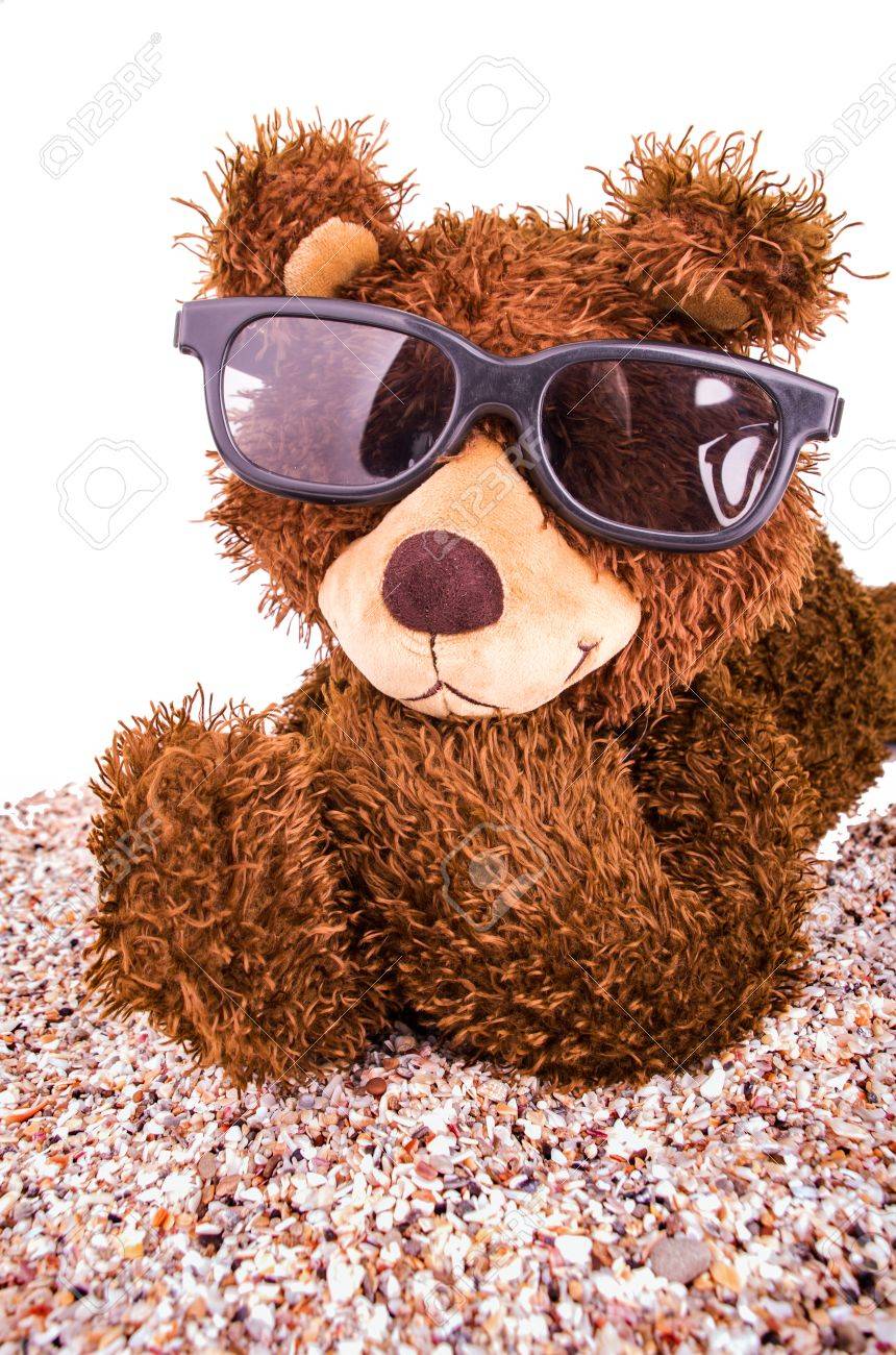 teddy bear sunglasses