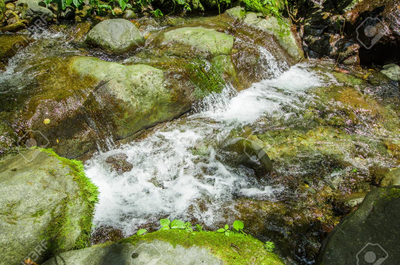 Mindo で川の石と緑の森の中を流れる美しい川 の写真素材 画像素材 Image Mindo で川の石と緑の森の中を流れる美しい川 の写真素材 画像素材 Image