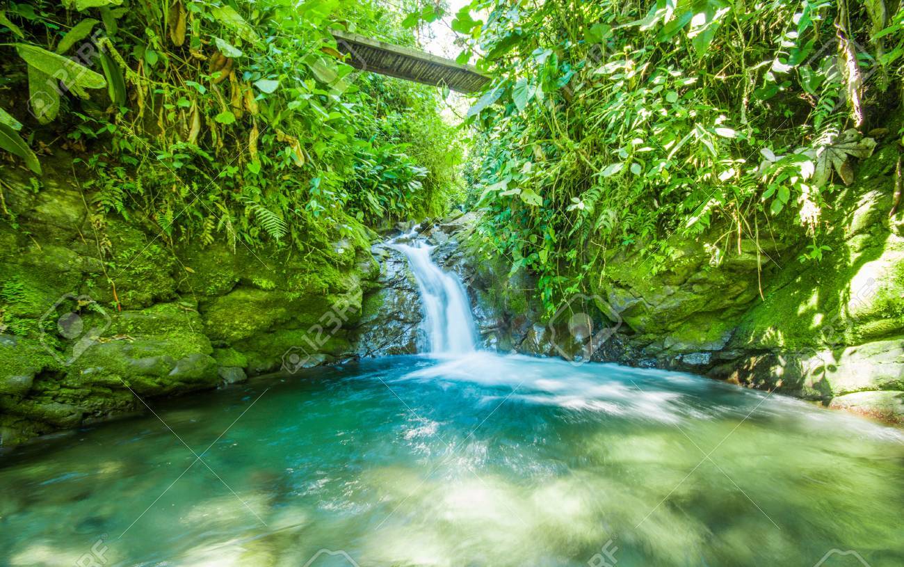 Mindo で川の石と緑の森の中に位置する美しい小さな滝 の写真素材 画像素材 Image Mindo で川の石と緑の森の中に位置する美しい小さな滝 の写真素材 画像素材 Image
