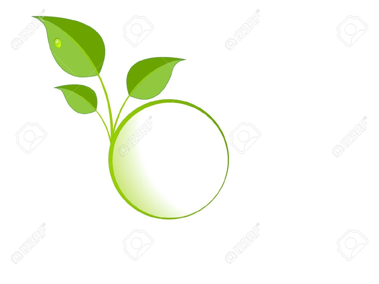 Green Leaves Logo Royalty Free Cliparts Vectors And Stock Illustration Image 9319976