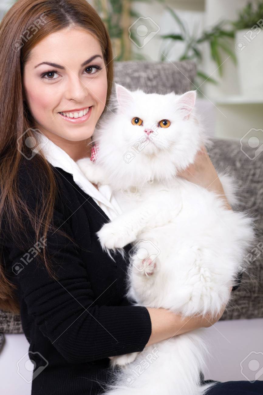 female persian cat