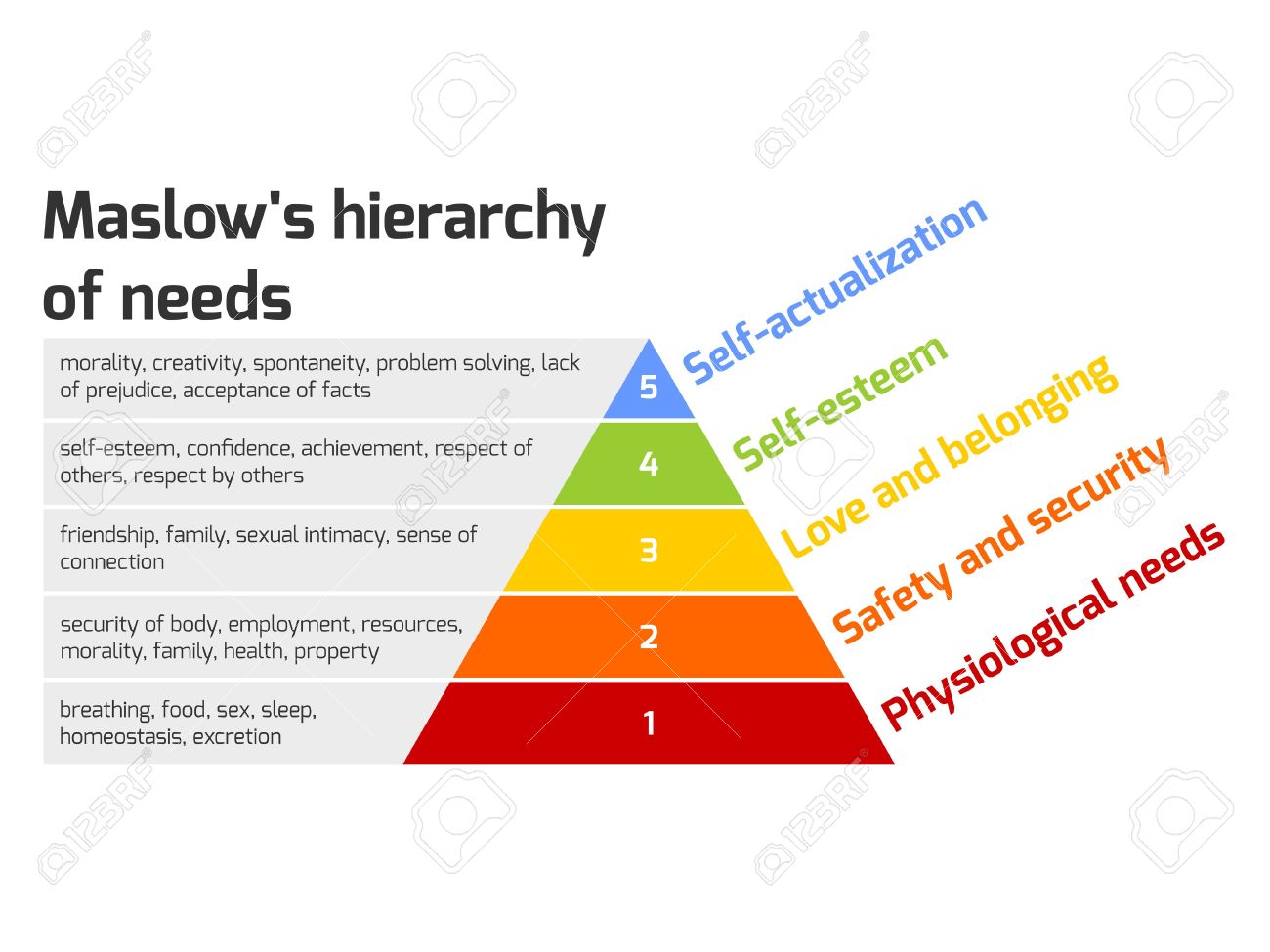 maslow s hierarchy of needs