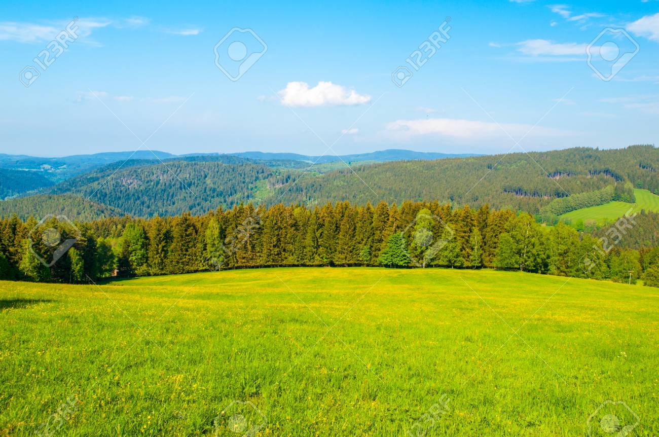 Beautiful Summer Mountain Landscape With Lush Green Meadows And Forest And Blue Sky With White Clouds Stock Photo Picture And Royalty Free Image Image 89754176