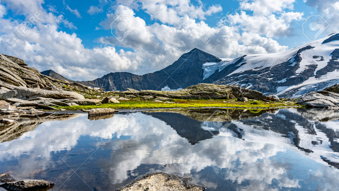 etiam-dictum-ipsum-a-felis