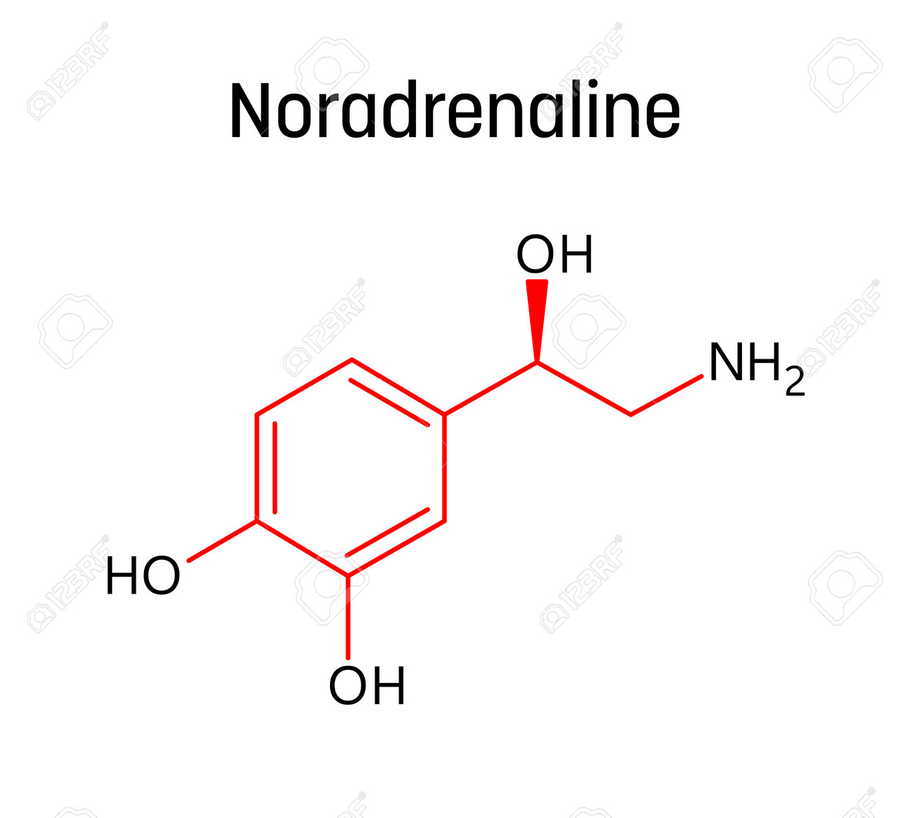 ノルアドレナリン分子構造。ノルアドレナリン、またはノルエピネフリン