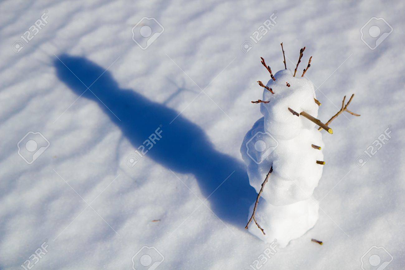 A Shadow on the Snow