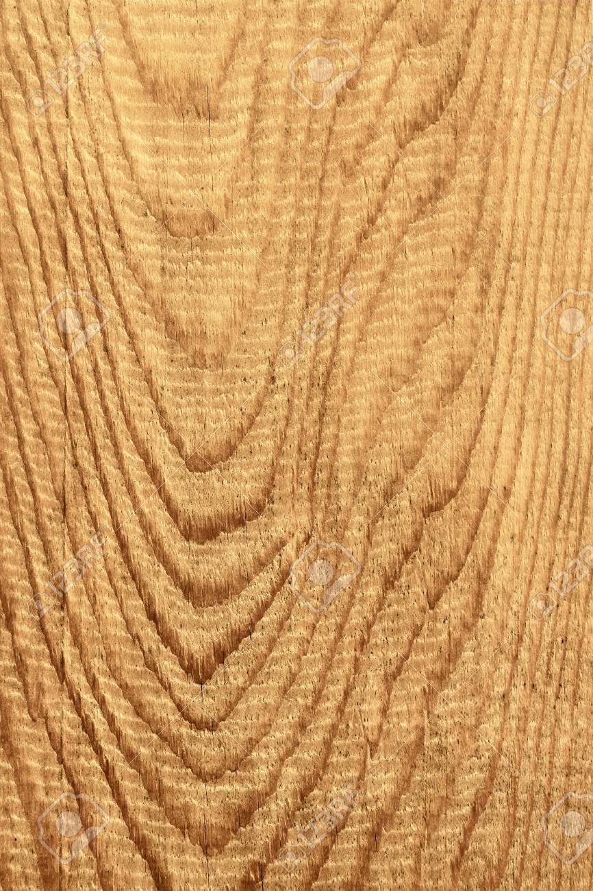 木の年輪 セピア板の縦断面図の詳細な粗構造 の写真素材 画像素材 Image