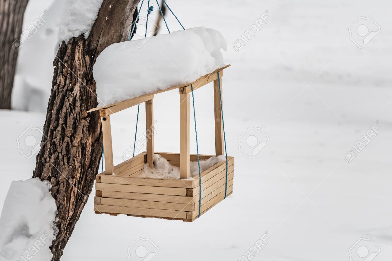 A New Yellow Bird And Squirrel Feeder House From Plywood With
