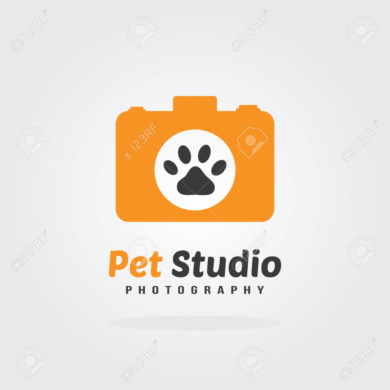 Camera Icon Pet Photography Concept Logo Design Vector For