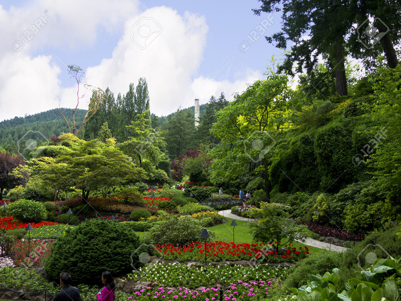 カナダのブリティッシュ コロンビア州バンクーバー島のビクトリア近くブッチャート ガーデンで花のディスプレイ の写真素材 画像素材 Image