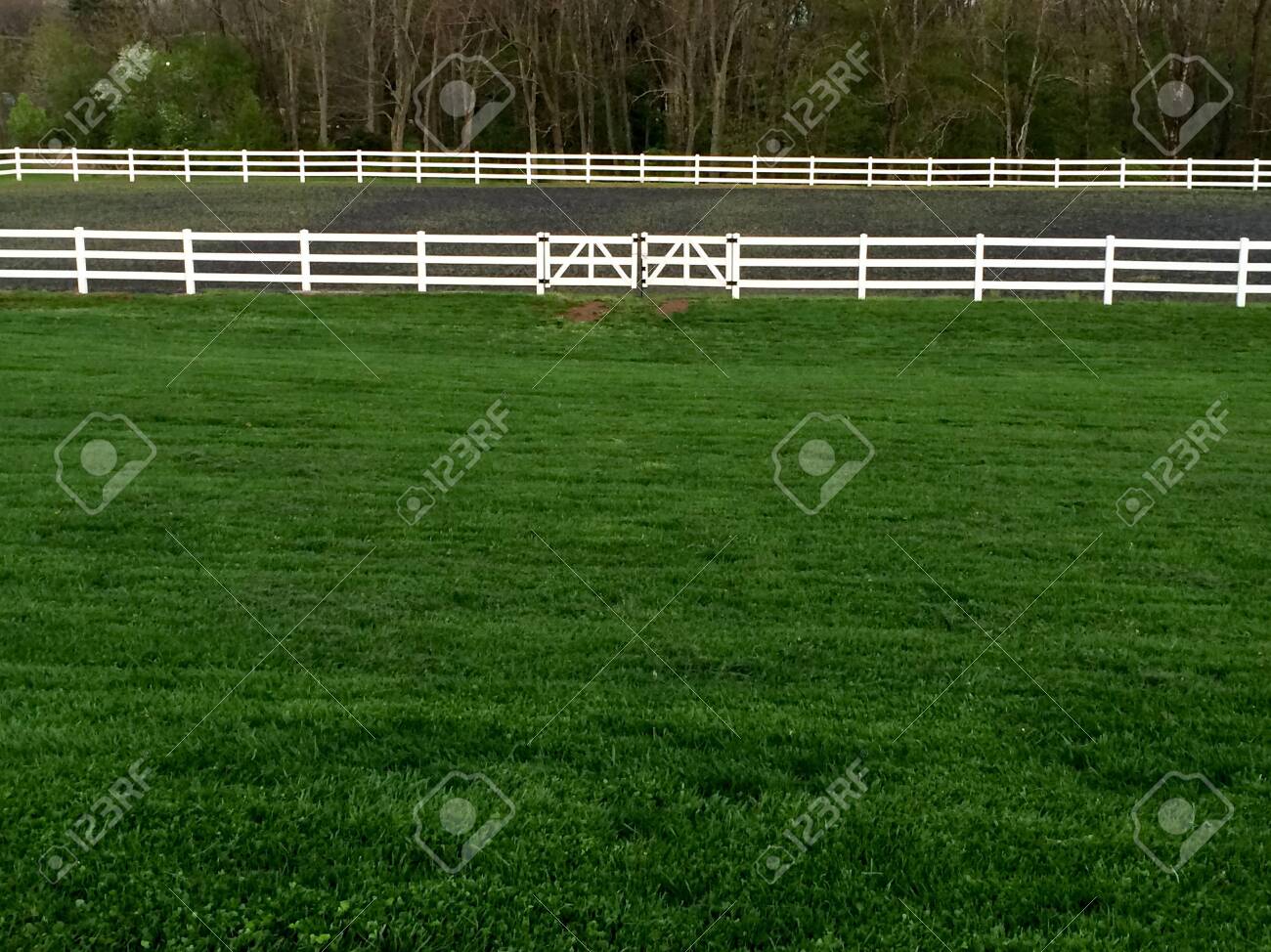 Sunset With White Vinyl Fence And Blue Sky Green Grass Stock Photo Picture And Royalty Free Image Image 145434025