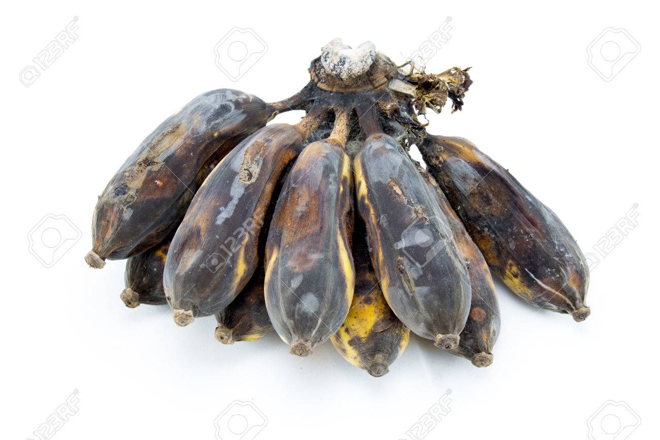 白で隔離腐りかけのバナナ の写真素材 画像素材 Image