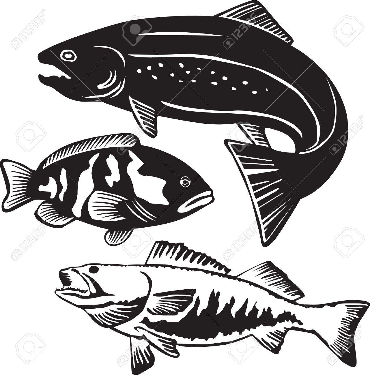 fish vector