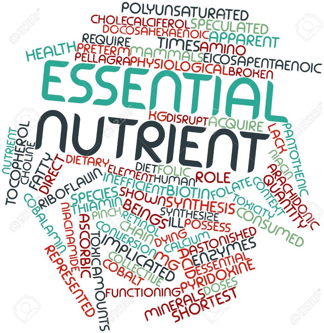 abstract word cloud for essential nutrient with related tags stock word for essential