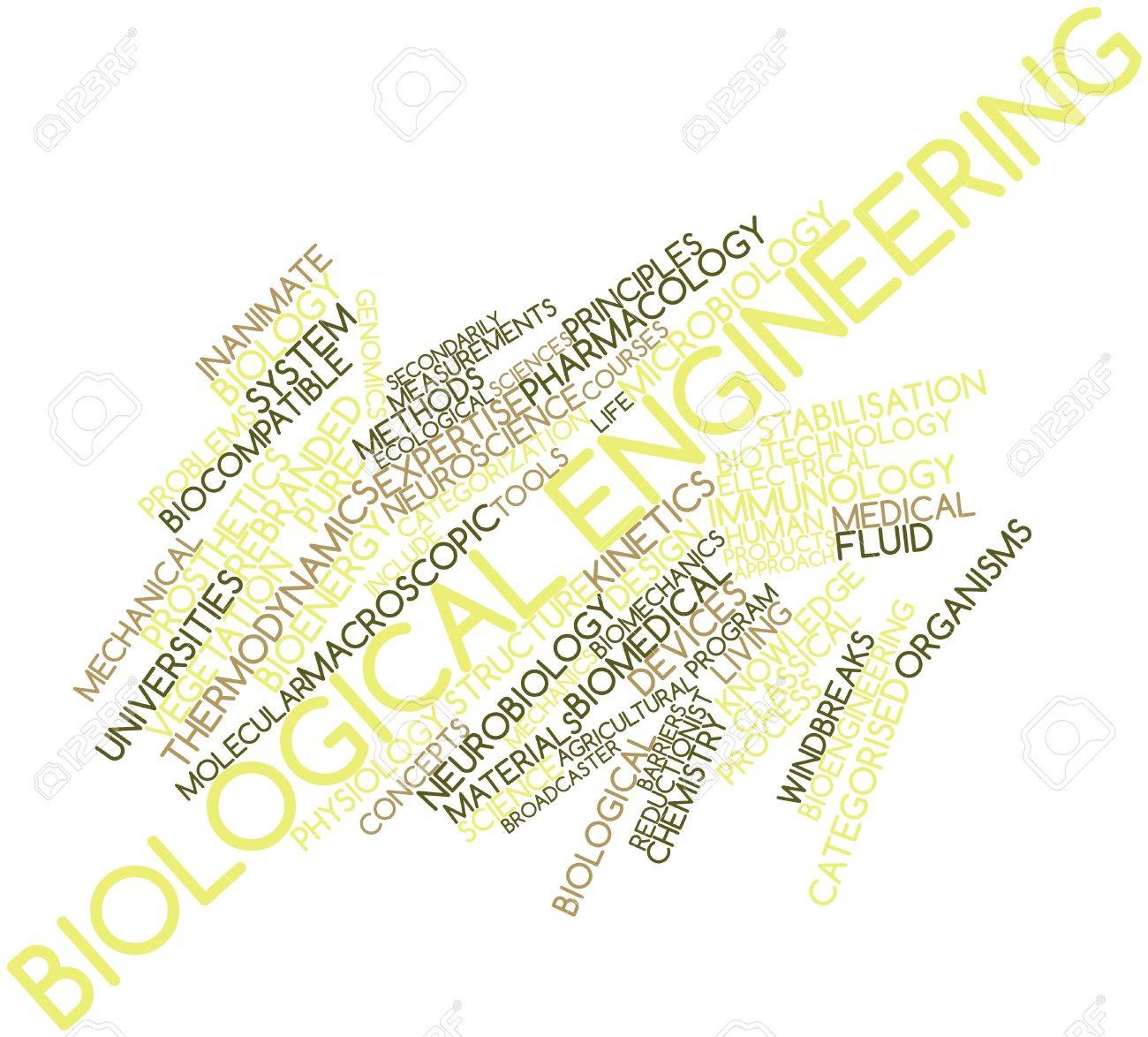 biological engineering