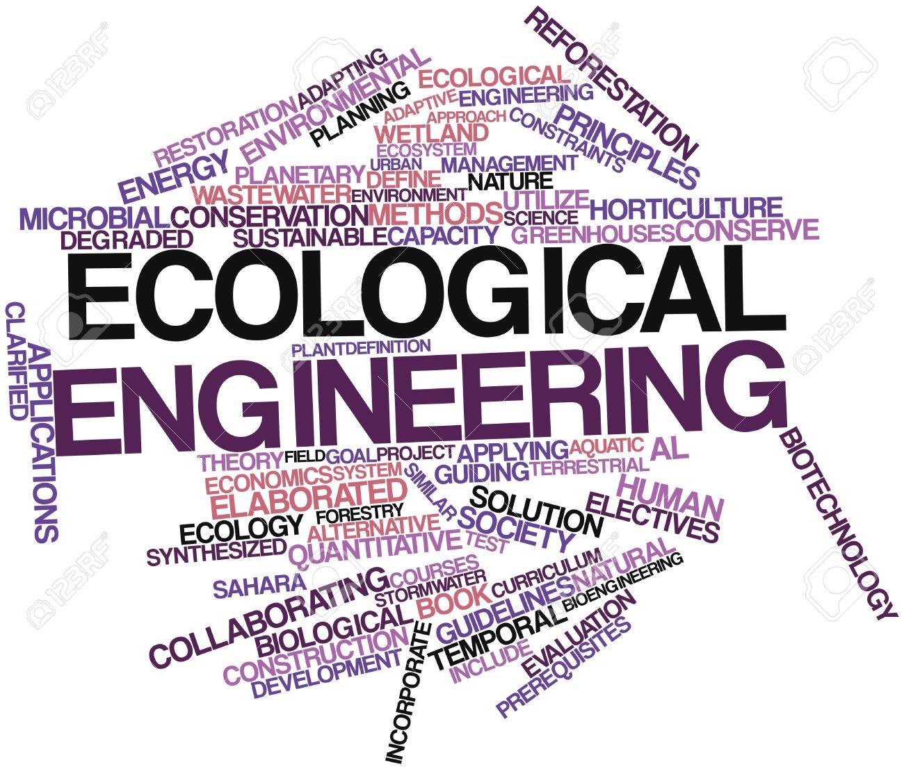 abstract word cloud for ecological engineering with related tags ecological engineering