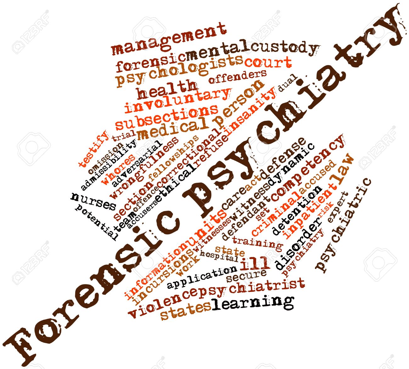 an essay on forensic psychiatry an essay on forensic psychiatry