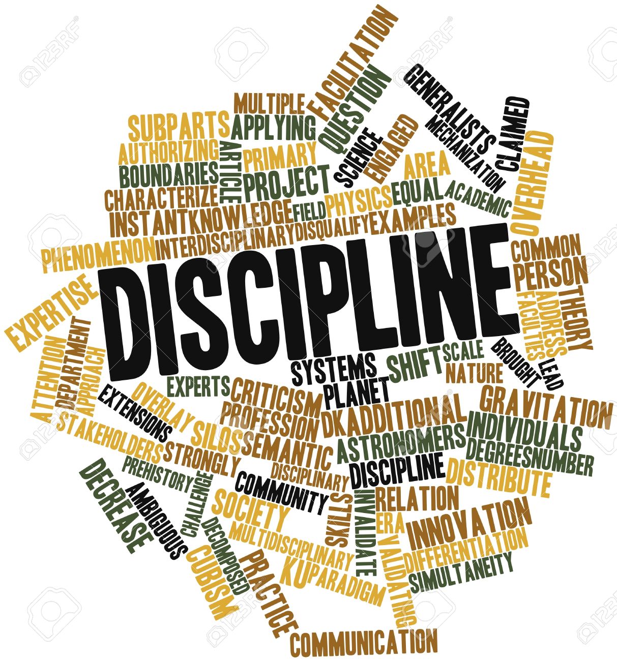 Discipline 