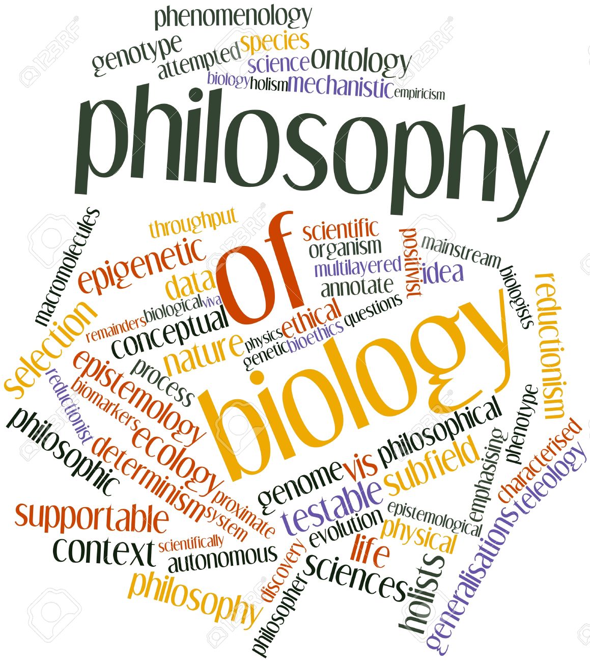The Philosophy of Biology