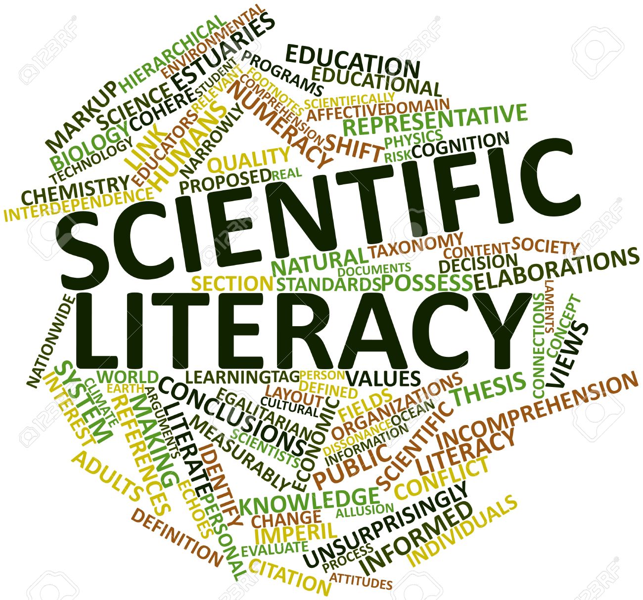 literacy terms