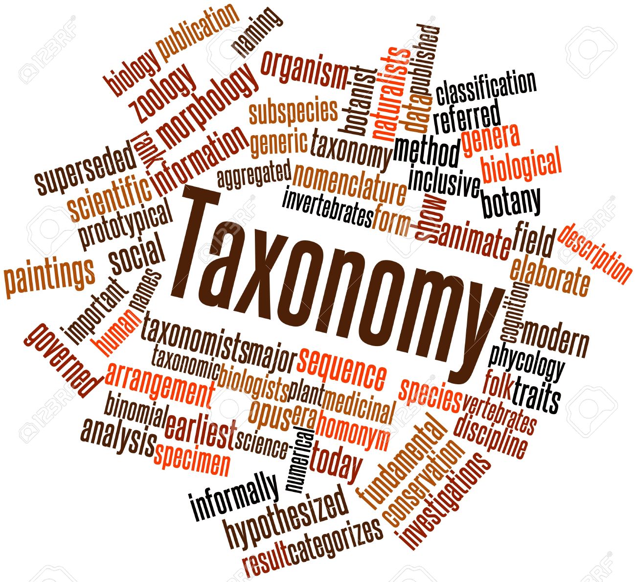 taxonomy