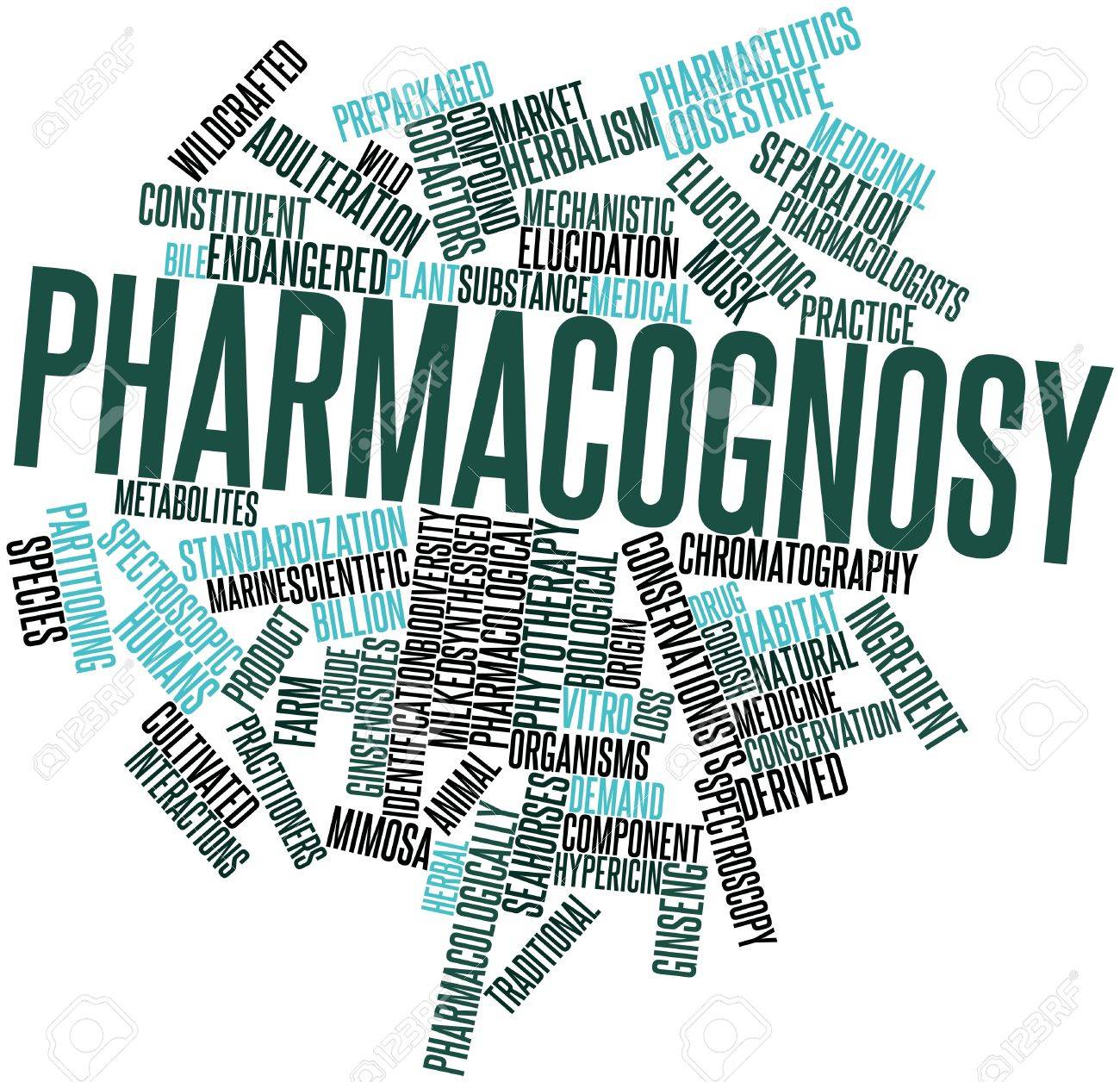 abstract word cloud for pharmacognosy with related tags and terms pharmacognosy