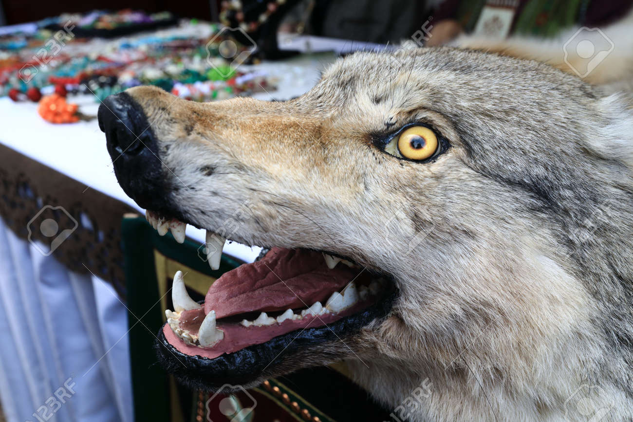 stuffed wolf head