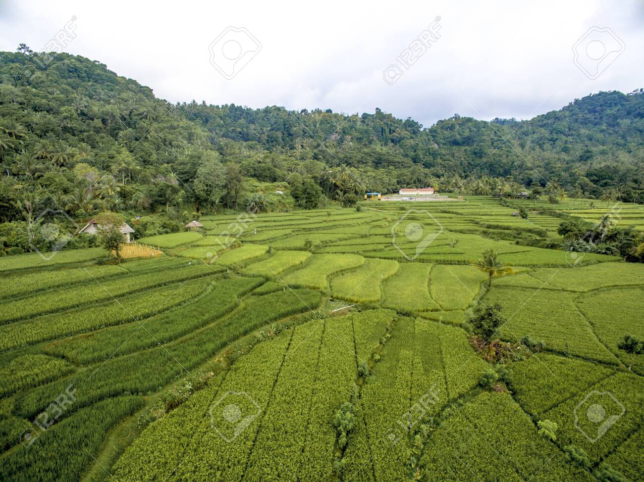 etiam-dictum-ipsum-a-felis